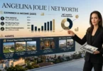 Angelina Jolie Wealth: Net Worth, Earnings, Assets and Income